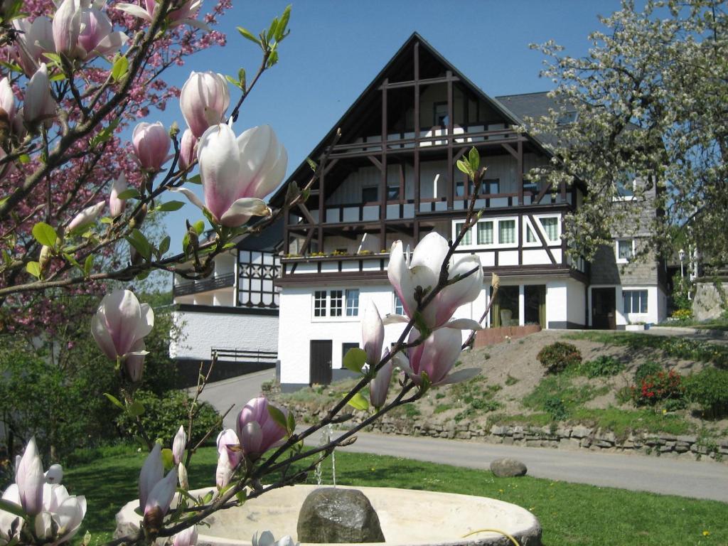 Ferienwohnung Otto Schmallenberg Exterior foto